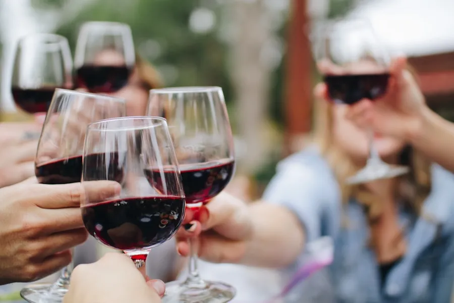 Friends toasting with red wine on a Hunter Valley wine tour from Sydney
