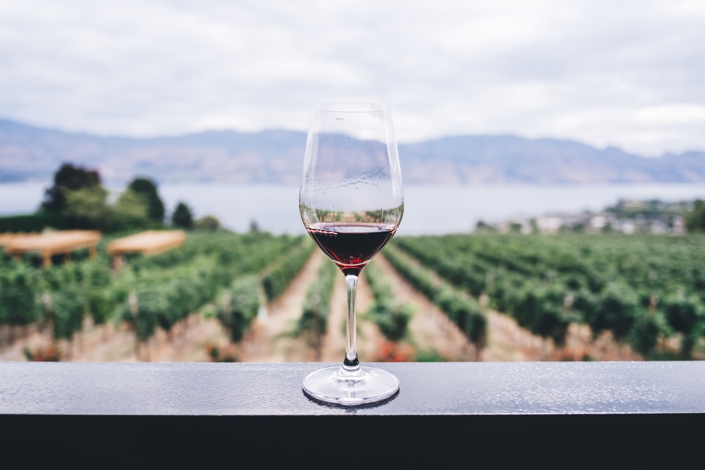 Hunter Valley vineyard rows with wine glass in foreground